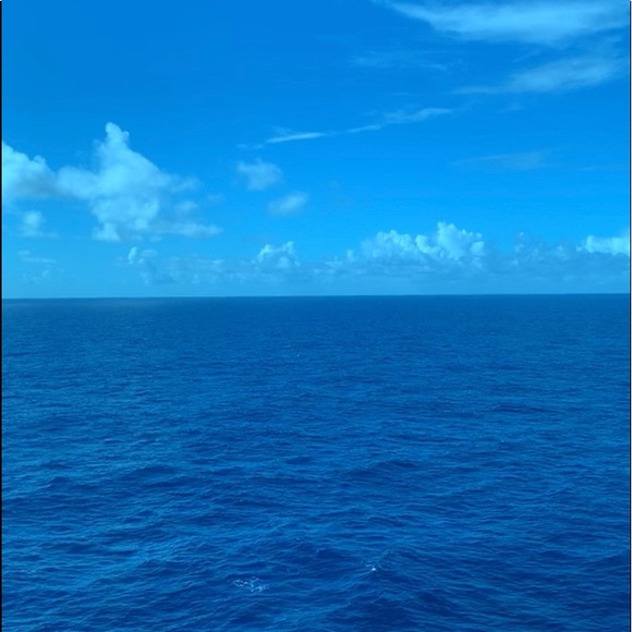 Meet your Posher, Graciela - Picture 6 of 6